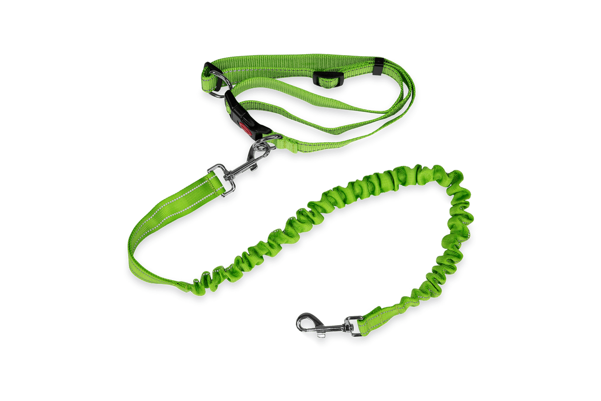 Qeridoo Joggerband Qeridoo Joggerband – Ansicht 2