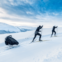 Thule Chariot cross-country skiing kit – Skilanglaufset (für Lite/Cab) Thule Chariot cross-country skiing kit – Skilanglaufset (für Lite/Cab) – Ansicht 2